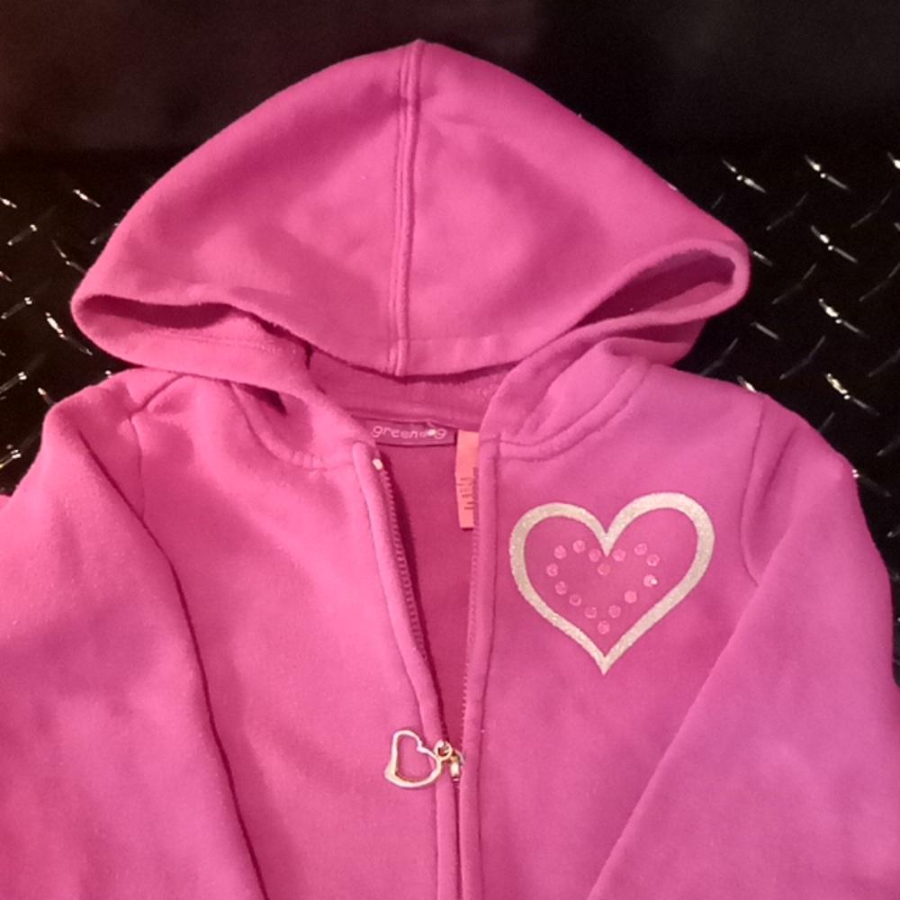 Green Dog Girls Purple Sweatpant Set Size 5